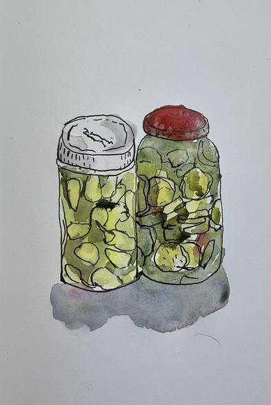 A watercolor and ink sketch of a jar of hot peppers with a white lid a d a jar of pickle chips with a red lid.