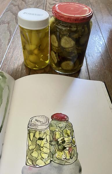 An open sketchbook displaying a watercolor and ink sketch of a jar of hot peppers with a white lid a d a jar of pickle chips with a red lid. The jars that were used for reference are also in the photo.