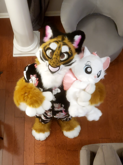 Fursuit photo of Demain the smilodon. He is looking upwards at the camera, the effect making him look very short and childlike. As for his design, Demani is orange with white cheecks and fluff. He has small black stripes all around his face and two longer stripes under each eye. His ears are black with pink inside and white ear fluff. His nose is big and pink with black spots along his nose bridge. He is hugging a big plush Marie from Disney's Aristocats. He is wearing black pajamas adored with various poses of the same Marie character. Marie is a white cat with blue eyes, pink inside ears, with a tiny pink bow on her head and a very large pink bow around her neck, with the bow part facing behind her.