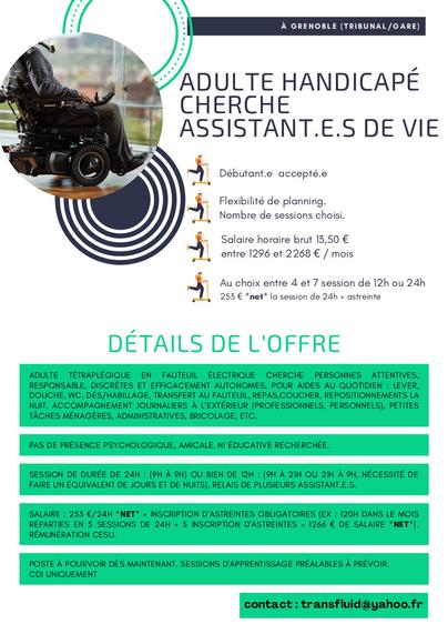Encart visuel coloré de l'annonce du poste à pourvoir « adulte handicapé cherche assistant.e.s de vie ». Avec des informations relatives à ce CDI [contact transfluid@yahoo.fr].