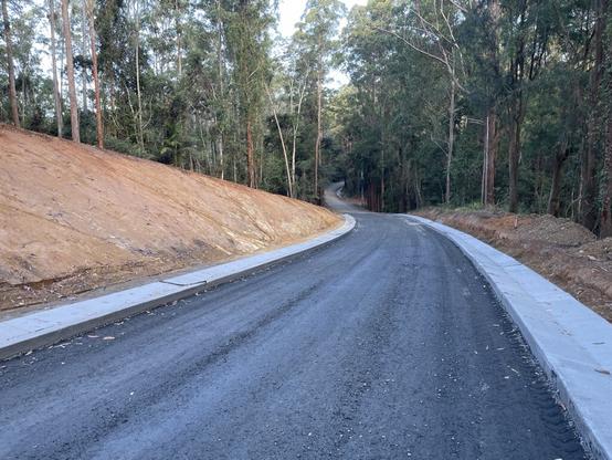 Gleniffer Road, Bellingen (Cement & tar infrastructure through the forest with combustion cars in mind)