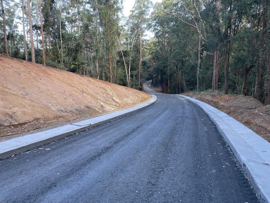 Gleniffer Road, Bellingen (Cement & tar infrastructure through the forest with combustion cars in mind)