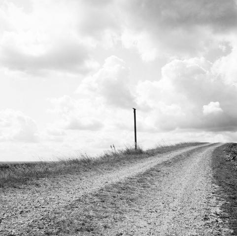 Monochrome image of a way to the right. In the middle of the frame is a black post for eagles and hawks.