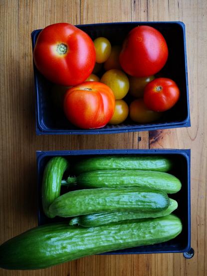Tomaten und Snack-Gurken in kleiner Schale.