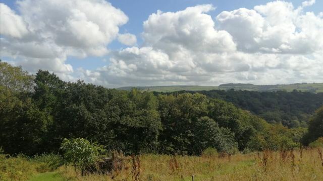 Mown paths on set overlooking tree filled valley with puffy white clouds above