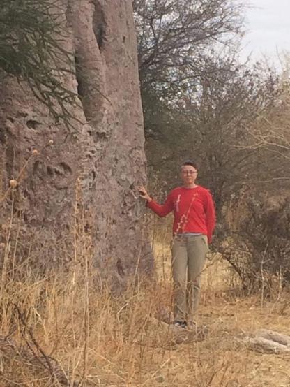 I am standing with my hand gently touching the trunk of a massive tree. The bark looks like it should feel like a concrete wall, but felt more like the stalk of a jade plant.