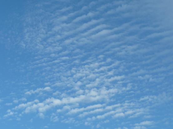 Zarte helle Wolkenstreifen verlaufen von unten links nach oben rechts parallel fast durchs ganze Bild. Dahinter der blaue Himmel.