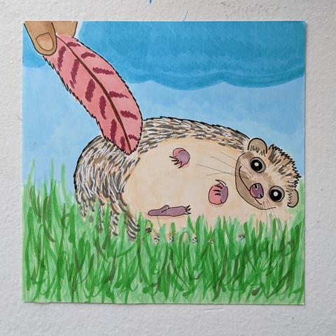 Pen and marker drawing of a hedgehog being tickled by a feather.