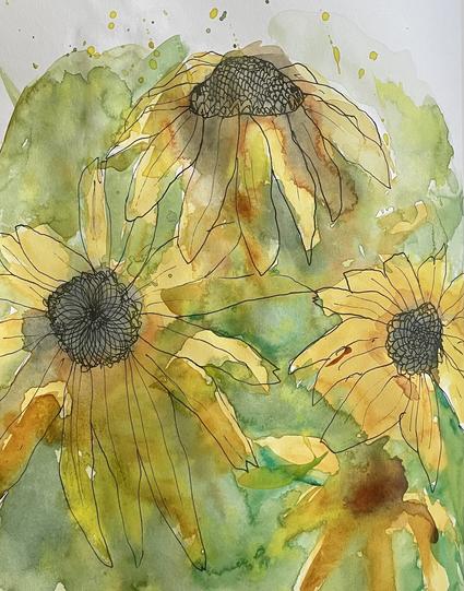 Watercolor and ink sketch of yellow black eyed susan flowers.