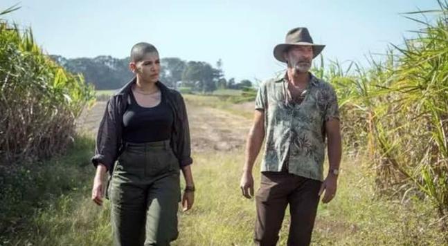 Nicole Chamoun and Thomas Jane, the stars of Troppo, walk between two fields of cane.