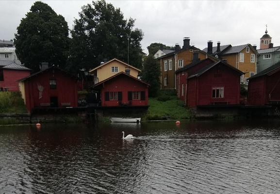 Kyhmyjojoutsen ui Vanhan Porvoon kohdalla. Takanaan kuuluja ranta-aittoja sekä muita vanhoja puurakennuksia ja vene.