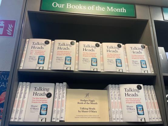 display of 'talking heads' in hodges figgis
