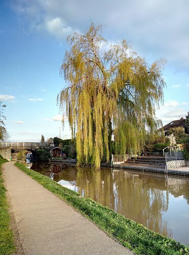 A photo titled "Towpath Walks", taken near Bridge 31, St Annes Bridge by Wildlife Terry on Flickr.