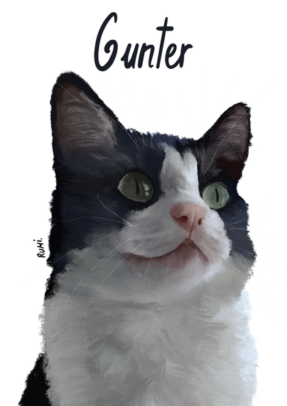 Kitty drawing