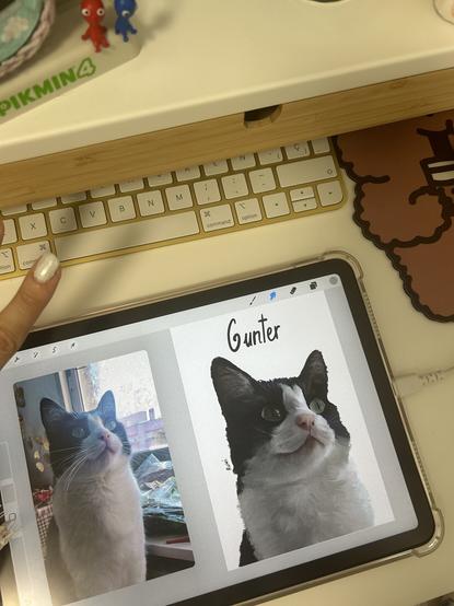 Kitty drawing