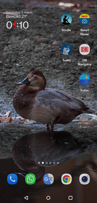 Ein Bild vom Startbildschirm. Eine Ente mit braunem Kopf, brauner Brust und grauem Rumpf sitzt in einem Gewässer und spiegelt sich. Das Gesamtbild wirkt erdbraun mit einer rötlichen Note.