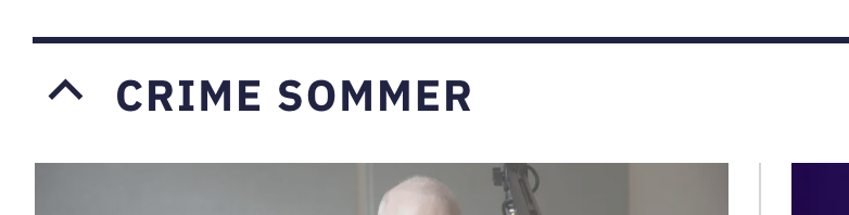 Screenshot von tagesanzeiger.ch, mit der Abschnitts-Überschrift «Crime Sommer».