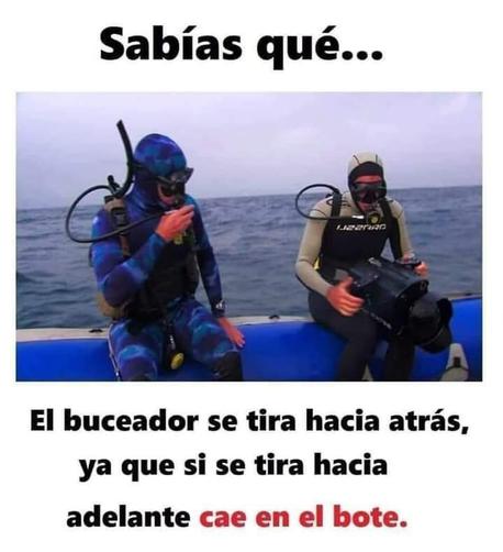 Sabías que? El buceador se tira hacia atrás ya que si se tira hacia adelante cae en el bote.