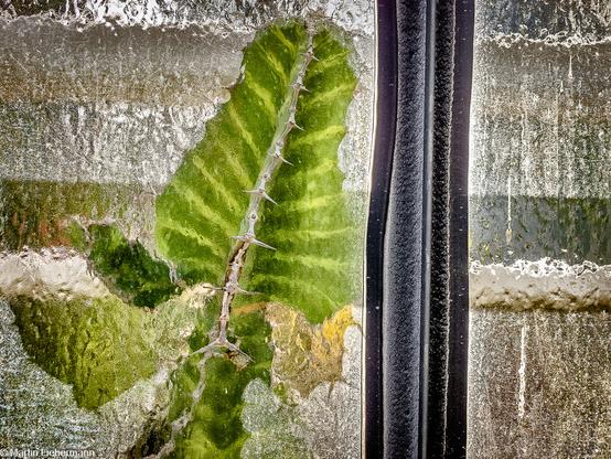 Glass windows of a hothouse in the botanical garden of Göttingen. Names and hearts written on the dirty glass.
