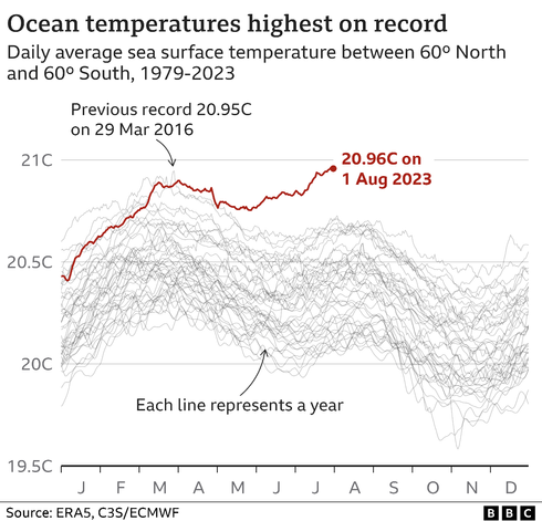 Graph showing average sea surface temperature reaching a new record of 20.96C on 1 Aug 2023.