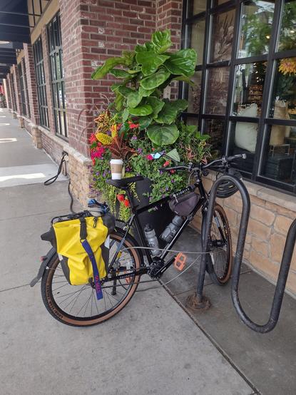 A bicycle parked in front of a 6 foot tall multicolored floral display. There's a cup of coffee on the seat of the cycle.