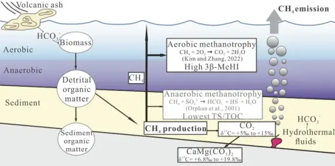 Model of methane production from microbial activity in an alkaline lake - a complicated figure illustrating microbial metabolism