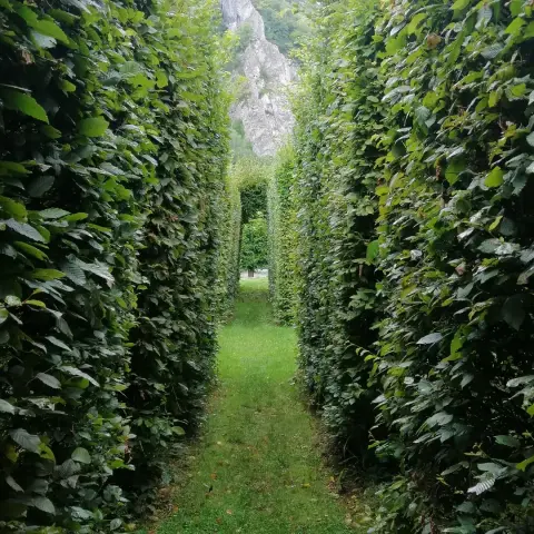 Zichtlaan in 'doolhof'