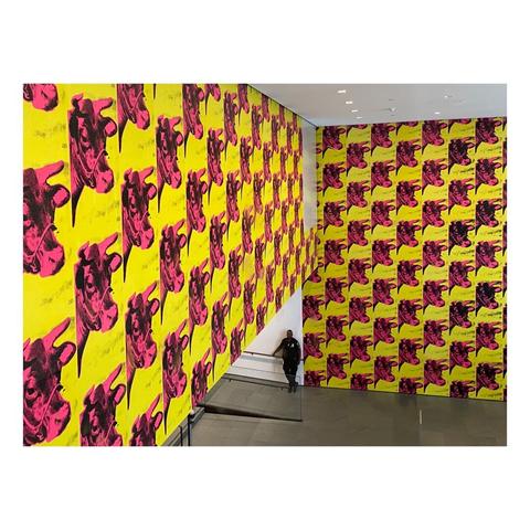 interior of moma