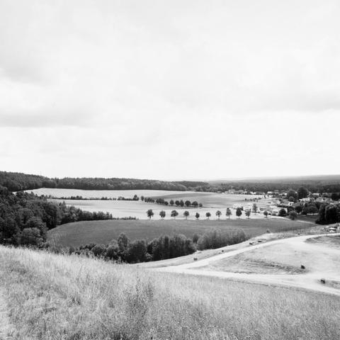 Monochrome image of a landscape with trees which look like black pearls on a necklace.