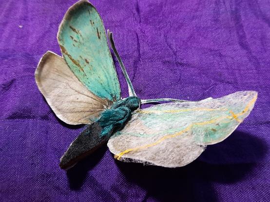 Macro of the paper art butterfly: Jordanita subsolana. The left side with blueish-green and grey wings is photo-realistic, the body is made from black leather and green silk. The right wings are covered with a cobweb-like transparent gossamer. It's handmade with raw silk and inlays of yellow and green silk threads.