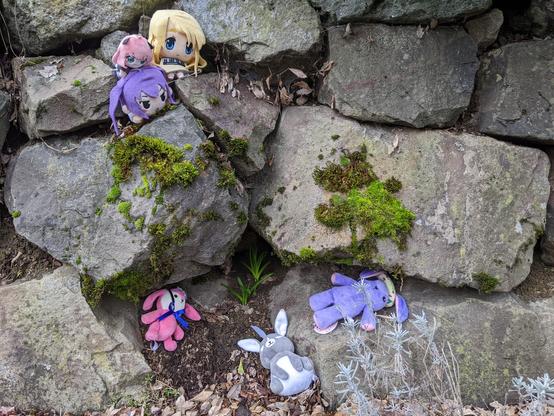A Mugi plushie, a Anya mini-nesoberi, and a Rize nesoberi look down own three prone Wlid Geese plushies.