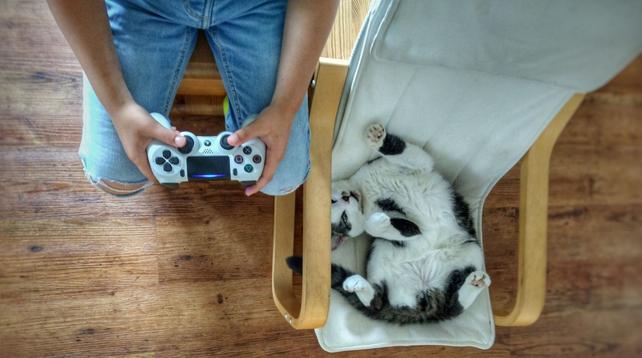 Katze liegt entspannt im kleinen Ikea Stuhl, daneben sieht man die Beine und Arme eines Kindes mit einem Playstation Controller in den Händen.