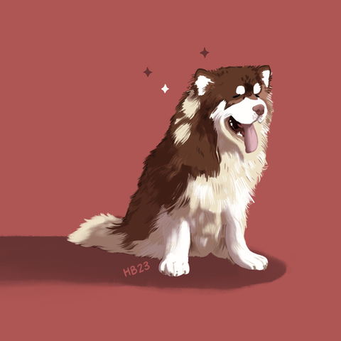 An illustration of an Alaskan malamute on a red background. The dog has its mouth open and looks quite happy!