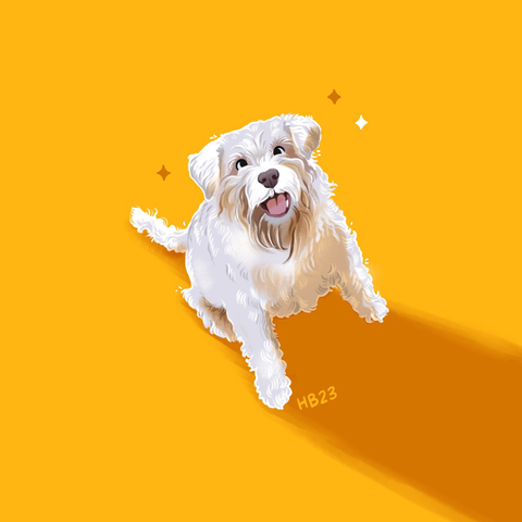 An illustration of a happy looking schnauzer, gazing at the viewer with a wide mouth and big eyes - all on a yellow background.
