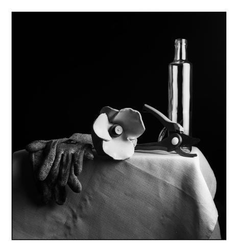 Black and white still life comprising a pair of gardening gloves, a Tower of London ceramic Poppy, a pair of garden snips and a bottle.