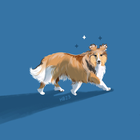 an illustration of a sheltie dog, looking content while walking to the right side of the artwork. the background is a blue that casts a dark blue shadow