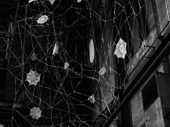 Black and white photograph of a Street art piece in an old ship warf building. A spiderweb with white crocheted doilies.