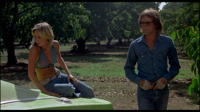 A slender young blonde woman in jeans and a bikini style top is sitting on a greenish-yellow car. A young man with sunglasses, a denim shirt, jeans, and a very 70s hairstyle is standing next to her. He is wearing driving gloves. They are in a wooded area and there are trees in the background.