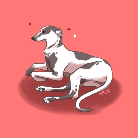 A very regal and noble looking greyhound illustration, on a red background. The greyhound is looking and seated to the left.
