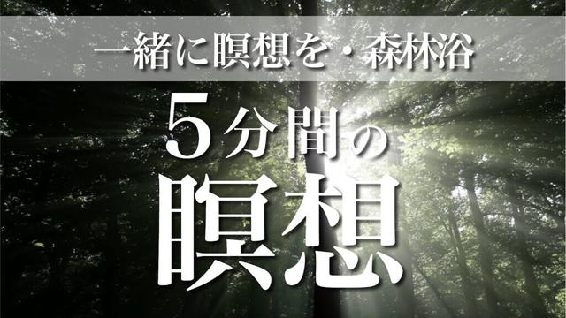 【誘導瞑想】5分間の瞑想・森林浴・一緒に瞑想をしましょう・おつかれさまです・マインドフルネス・深いリラックス感と安心感・穏やかさを取り戻す #15