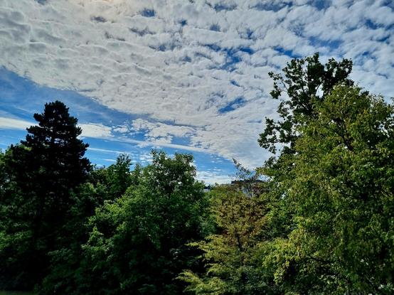 Bäume, Himmel mit verschiedenen Wolkenformationen
