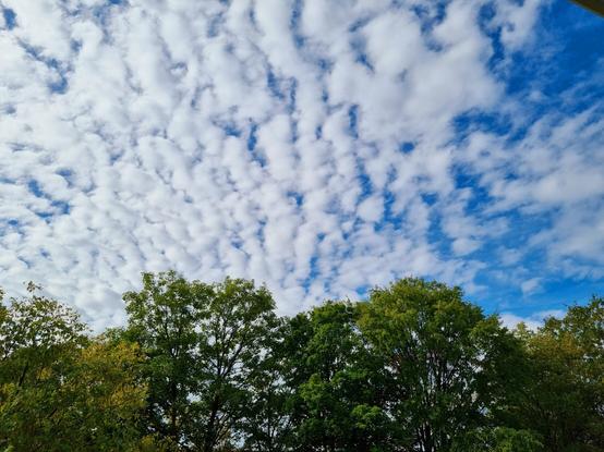 Wolken, Himmel, Bäume.