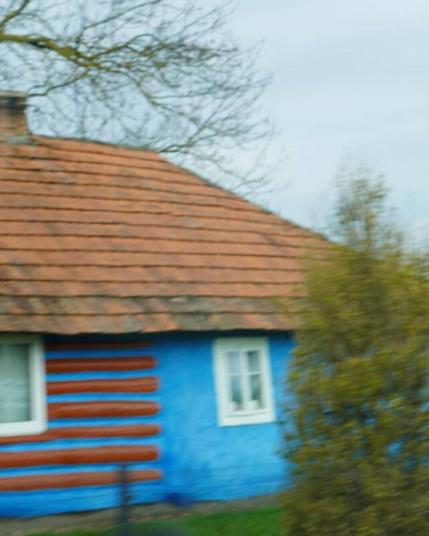 Masha Reva, road series made when the artist left Uzhhorod (Ukraine) for Berlin, April 2022 // A blurry blue and red farmhouse shot from a moving car. Bare branches hang from above, bushes turn green on the right. // Маша Рева, роуд-серия, сделанная при отъезде из Ужгорода в Берлин, конец апреля 2022 года // Смазанный сине-красный сельский дом, снятый из движущегося автомобиля. Сверху свисают голые ветви, справа зазеленели кусты.