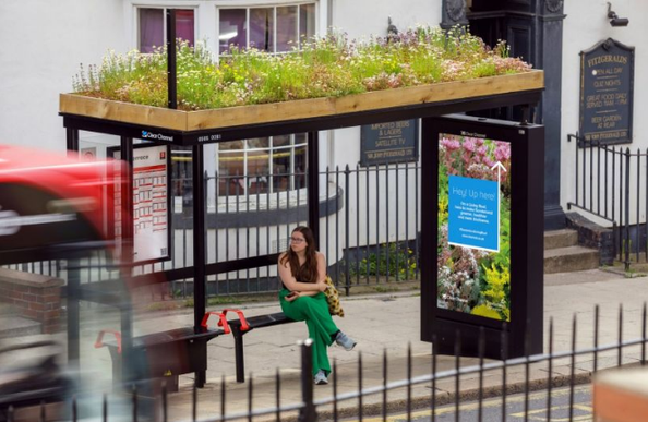 A green roof on a small bus shelter