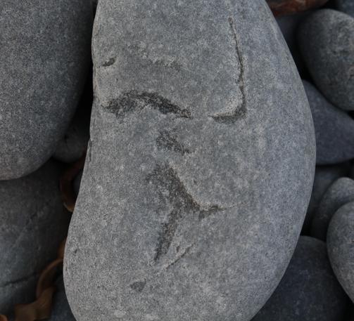 A large stone that appears to have a face in the creases.