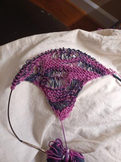 A purple 2 tone lace shawl in progress on a circular needle.
