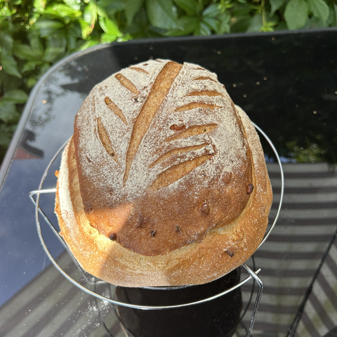 A closeup from above and the side of the bread sitting on the cooling rack of my outside table. In this shot the two layers of this layered bread are much more visible.