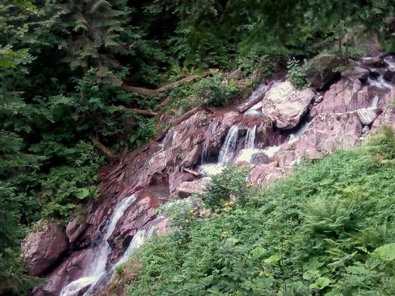 Small waterfall in mountains, flowing water, many big brown stones, green trees and other plants around, plants have a juicy green color