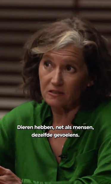 Bibi Dumon Tak heeft een groene blouse aan en zegt: "Dieren hebben net als mensen dezelfde gevoelens. Namelijk, ze kennen pijn, ze kennen stress, ze kennen angst, ze kennen vriendschappen, ze kennen verdriet, ze kennen rouw. Al die emoties hebben dieren ook. Alleen, je moet ze wel erkennen. Ik vermenselijk helemaal niets. Ik erken wel de pijn, of het verdriet of de rouw die een dier kan lijden."