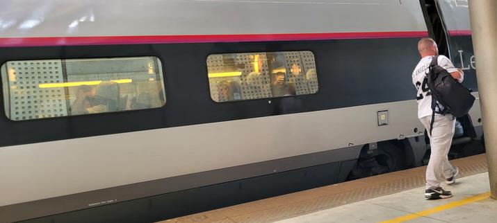 Picture of the side of a French tgv (first class) : two windows. In one someone is taking the photographer in picture.